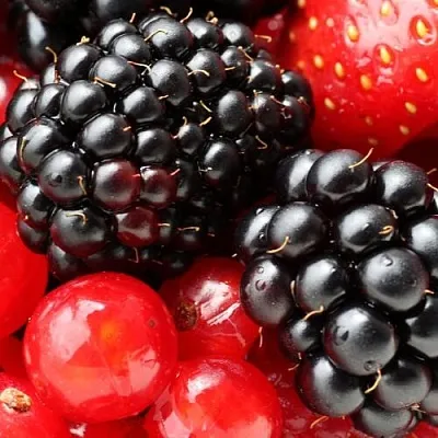 Ежевика в Смоленске