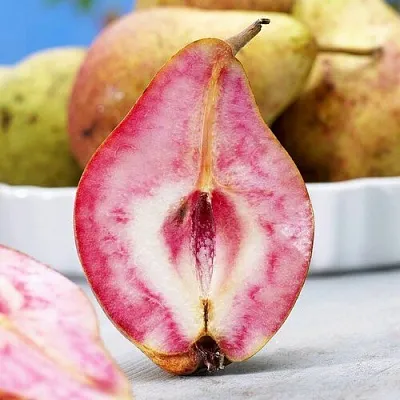 Груша БЛЮТБЕРН  Груша БЛЮТБЕРН в Смоленске