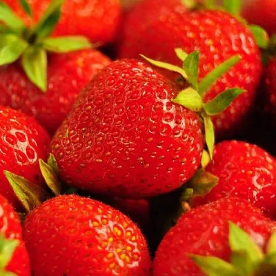 Клубника в Смоленске