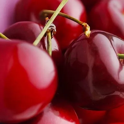 Вишня в Смоленске